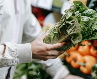 Person selecting lettuce